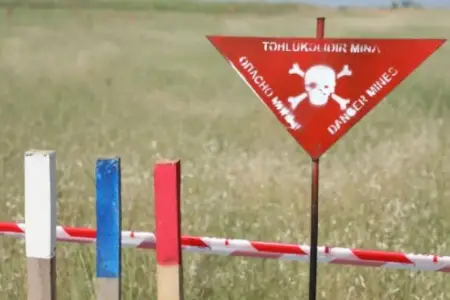 1600 hektardan çox ərazi minalardan təmizlənib