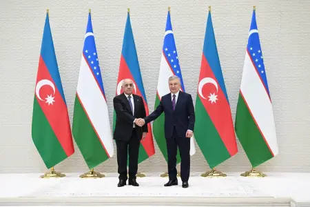 Əli Əsədov Özbəkistan Prezidenti ilə görüşdü