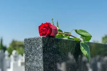4 ayda neçə nəfər ölüb?