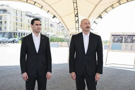 Füzulinin dağıdılmış yerlərinə baxdılar - Fotolar
