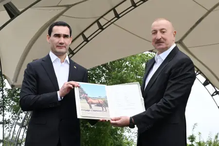 Türkmənistan Prezidentinə Qarabağ atı hədiyyə edildi