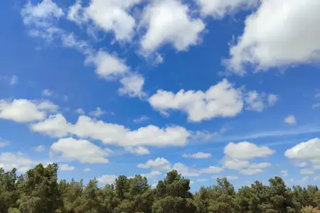 Sabahın hava proqnozu açıqlandı