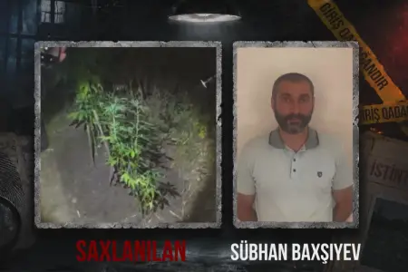 Dağlıq ərazidə çətənə kolu yetişdirən şəxs tutuldu