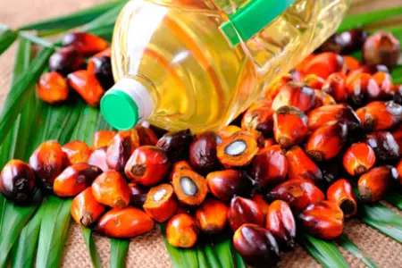 Palma yağı zəhərlidir?  - AQTA sədrinin açıqlamasına REAKSİYA