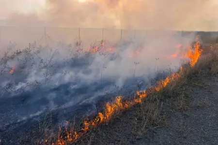Lənkəranda açıq sahədə yanğın oldu