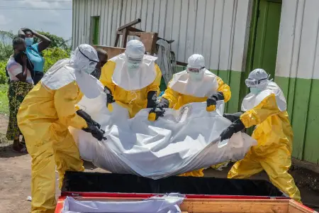 Konqoda eboladan ölənlərin sayı 490-ı ötdü
