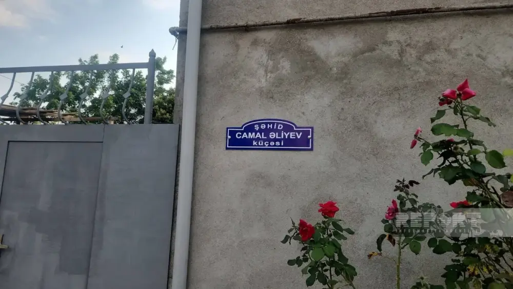 Bu küçələrə şəhidlərin adı verildi
