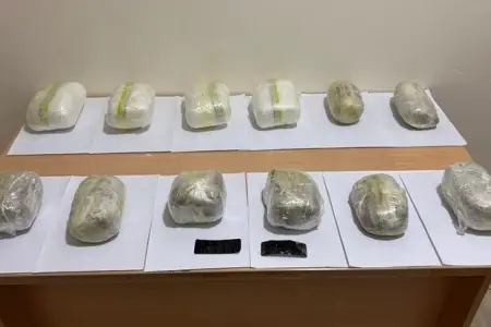 Azərbaycanda 4 tondan çox narkotik müsadirə edildi