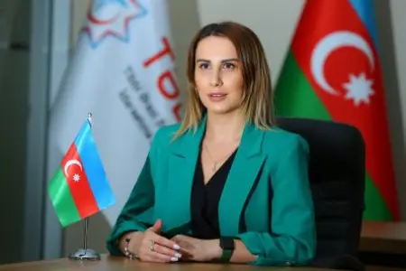 Keçmiş mətbuat katibi iş qadını olur