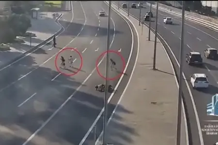 Bakıda piyadalar qəzaya səbəb oldu - ANBAAN GÖRÜNTÜLƏR