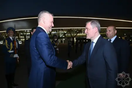 Slovakiya Prezidenti Füzuli aeroportundan Bakıya yola düşdü