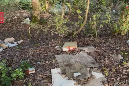 Hirkan Milli Parkı tullantıların əsirinə çevrilib - Foto