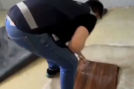 Xəzinəni tapmaq üçün otağı qazıb xalçayla örtdülər      