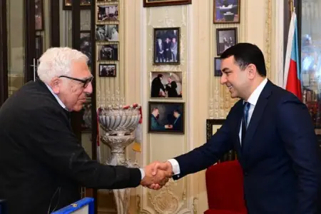 Mədəniyyət naziri Xalq yazıçısı Anarla görüşdü