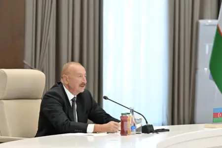 “Üç ildə ümumilikdə 16 dəfə səfər etmişəm” - Video