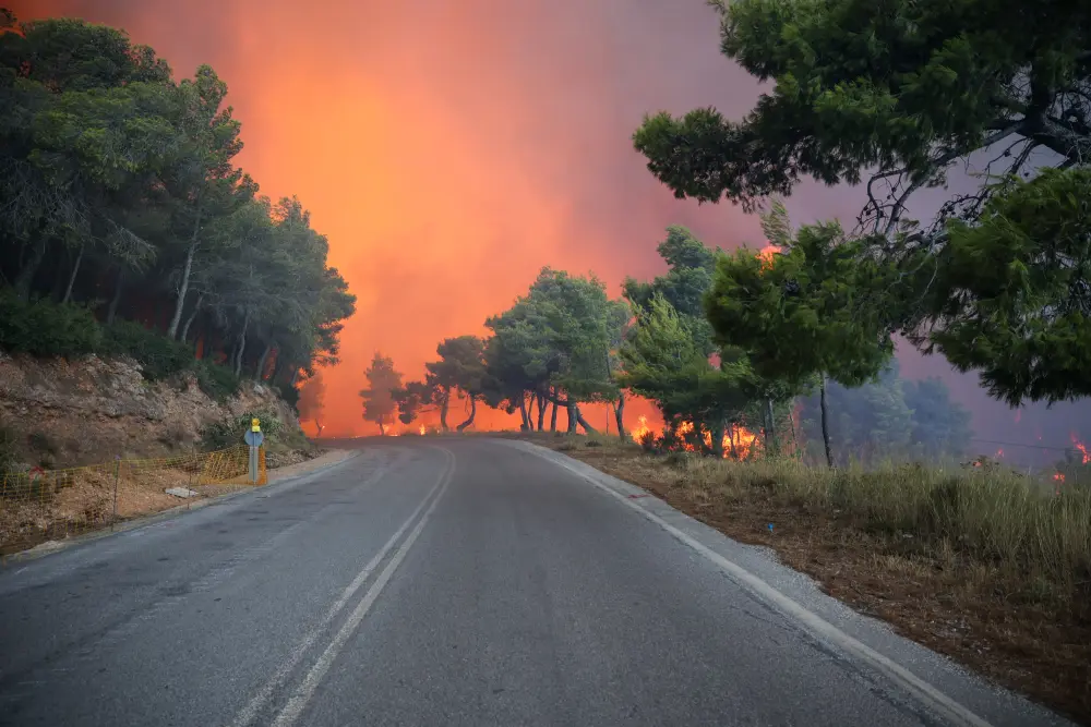 Yunanıstanda meşə yanğınları səngimir – FOTOLAR