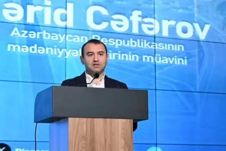 700-dən çox mədəniyyət abidəsi dağıdılıb - Nazir müavini