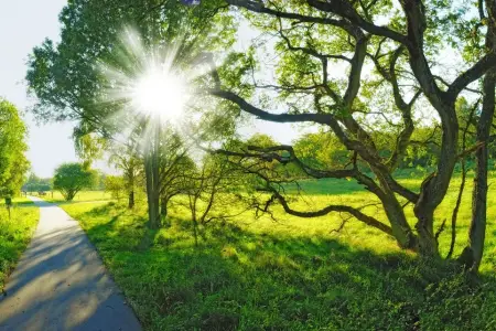 Sabah Azərbaycanda 38 dərəcə isti olacaq