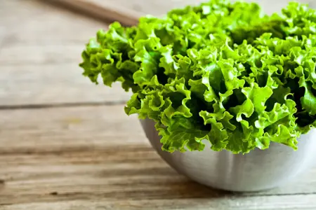 18 min nəfər kahıdan parazitə yoluxdu