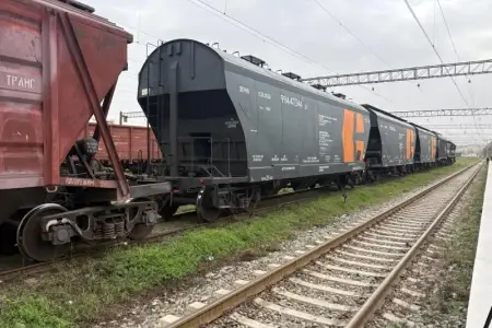 Rusiyadan Ermənistana Azərbaycandan keçməklə buğda göndəriləcək