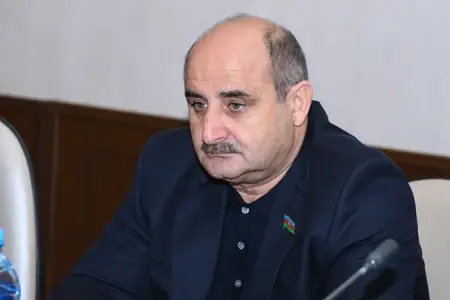 Qənimət Zahid Çingiz Qənizadəyə təzminat ödədi