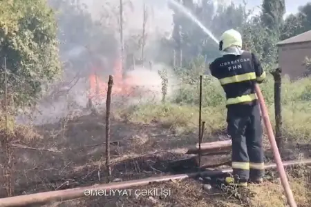 Bərdədə açıq sahədə yanğın olub - VİDEO