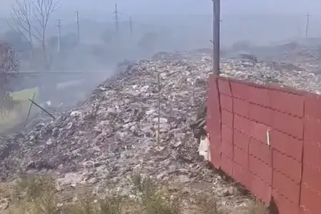Lənkəranda biabırçı mənzərə - Video