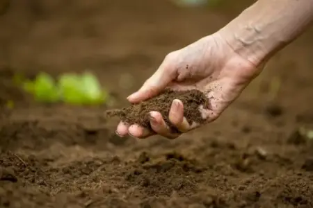 Bakıda torpaq qiymətləri 4 % artıb