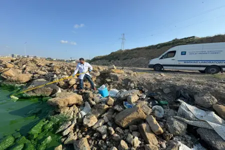 Böyükşor gölündəki yaşıl rəngin səbəbi nədir? – Araşdırmalar BAŞLADI