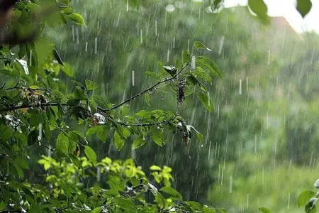 Azərbaycanın bəzi rayonlarında leysan yağır - FAKTİKİ HAVA