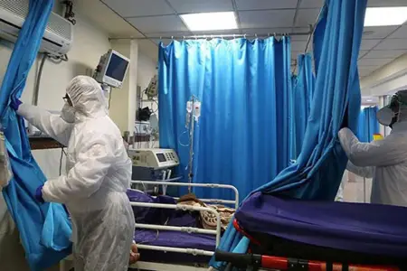 Ağcaqanadlarla yayılan virus bu ölkəni təşvişə saldı