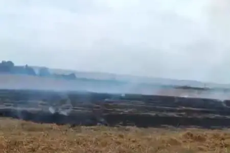 Bölgələrdə yanğına səbəb olan üç nəfər məsuliyyətə cəlb olundu - FOTO