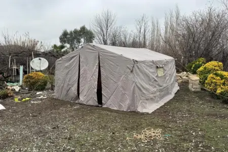 Ayı turistlərin qaldığı çadıra hücum etdi - Qadın faciəvi şəkildə öldü