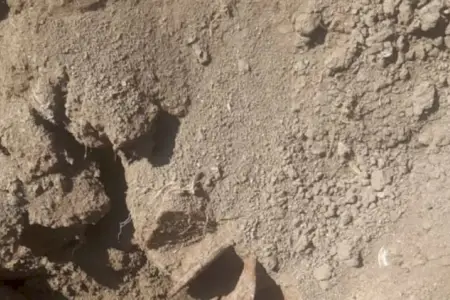 Ağdamdakı qəbiristanlıqda hərbi sursat tapıldı
