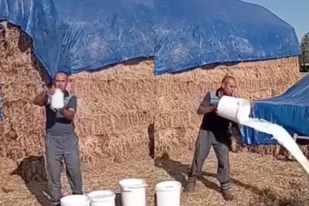 "Litrini 15 qəpiyə alırlar" - Fermerdən etiraz - VİDEO