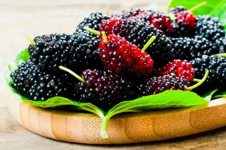 Tutun gizli faydaları ortaya çıxdı 