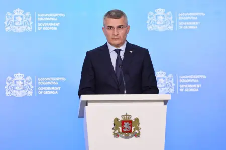 Gürcüstanda nazir vəzifəsini tərk edib siyasətdən getdi