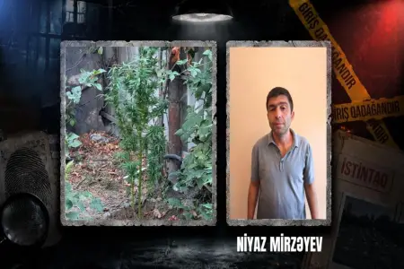 Göyçayda əməliyyat - Həbs edilən var