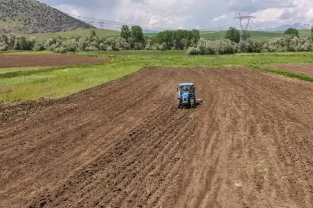 Əkin sahəsində meyit tapıldı