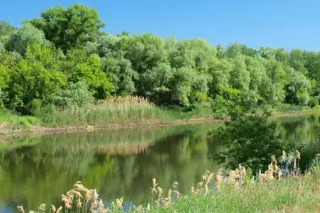 Hirkan Milli Parkında qanunsuz çəpərləmə: Nazirlik hərəkətə keçdi