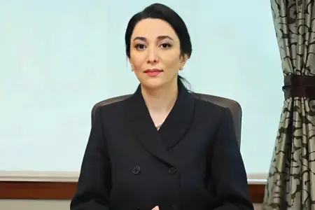 "Ermənistanlı hüquq müdafiəçisinin iddiaları əsassız və qərəzlidir" - Ombudsman