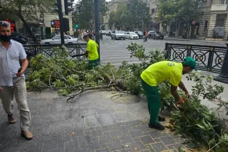 Paytaxtda küləyin fəsadları aradan qaldırılır - Fotolar