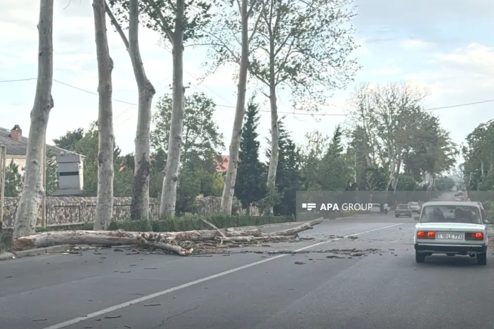 Güclü külək ağacları aşırdı, evlərin damını zədələdi