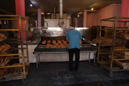 Biləcəridə çörək emalı müəssisəsində nöqsanlar aşkarlanıb - FOTO/VİDEO