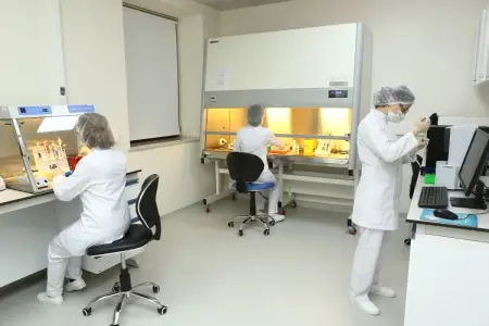İsmayıllıdakı kütləvi zəhərlənmənin səbəbi məlum oldu