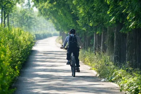 Velosiped sürmək üçün ən yaxşı şəhərlər müəyyənləşdi