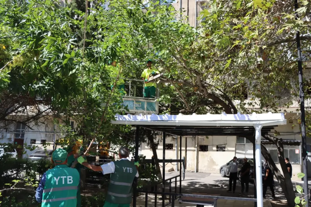 Bakıda güclü küləklərlə bağlı qabaqlayıcı tədbirlər görülüb