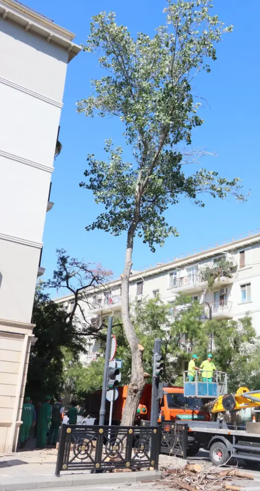Bakıda güclü küləklərlə bağlı qabaqlayıcı tədbirlər görülüb