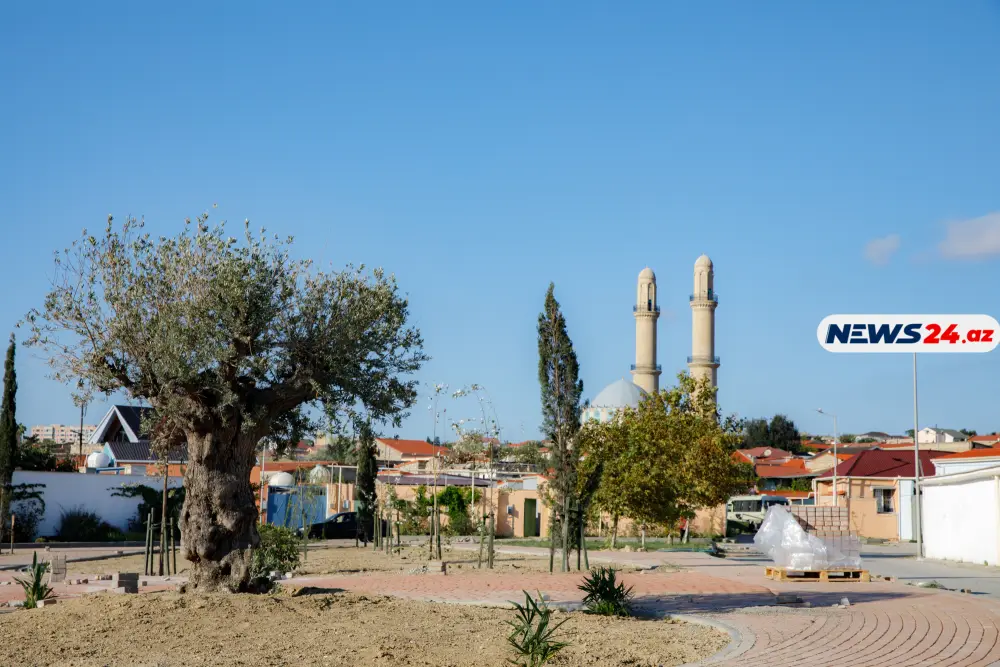 Yenilənən Əmircandan FOTOREPORTAJ