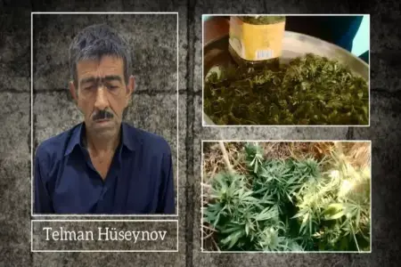 61 yaşında 140 narkotik kolu yetişdirmişdi, tutuldu
